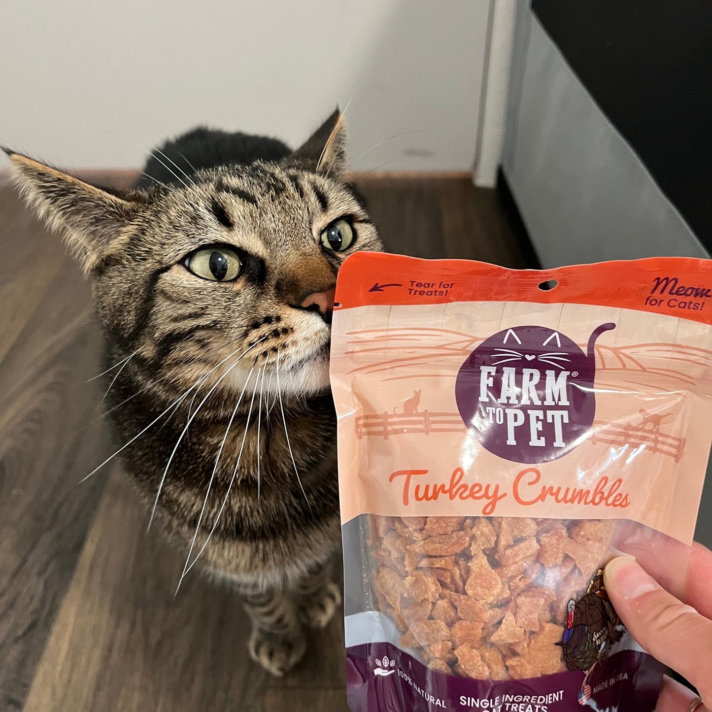 Turkey Crumbles Cat Treats Grain Free 3.2oz ๐ฆ