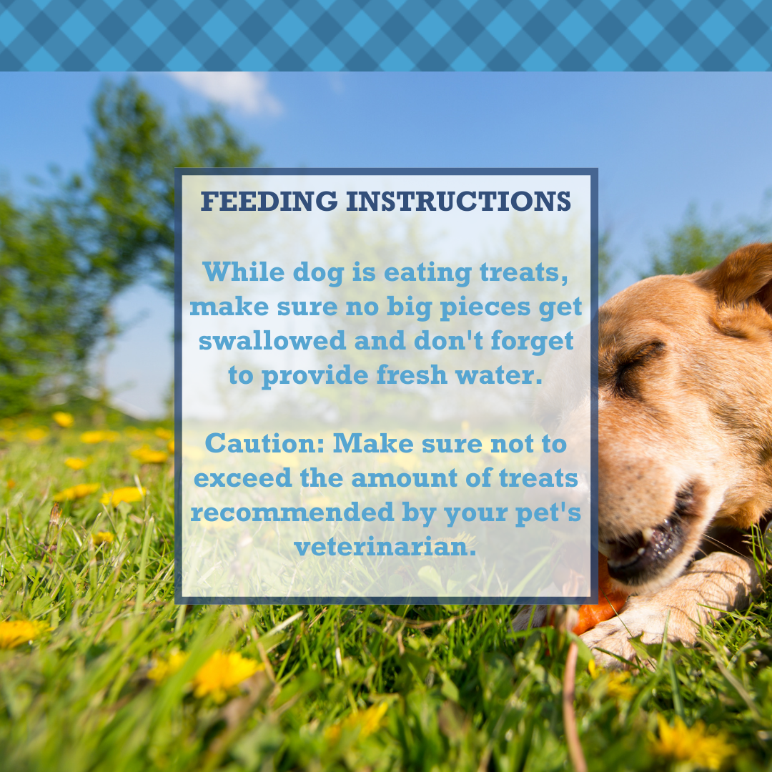 Country Living All-Natural Chicken Feet Dog Treats, Crunchy Snacks for Joint Support – (20-Pack) - Purrfect Pet Kingdom