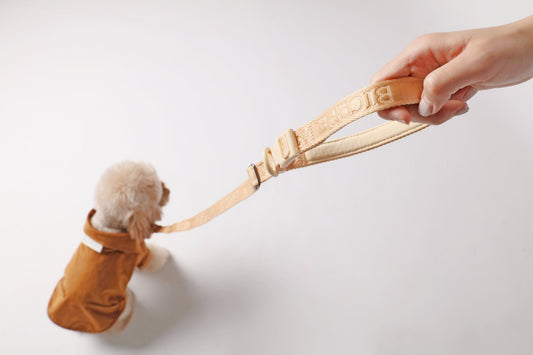 Dog Leash Padded Active Walking Lead Adjustable APRICOT - detail view