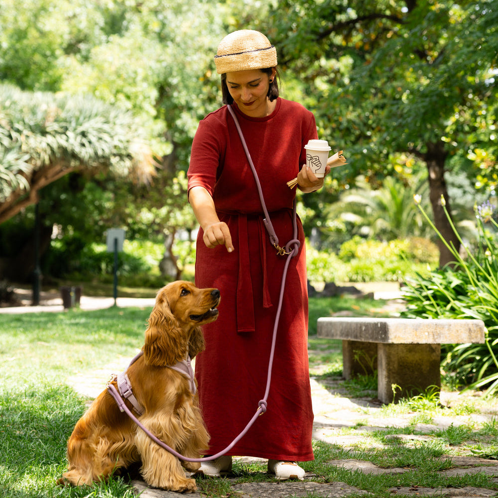 Moss Green Hands-Free Braided Leash for Dogs – Premium