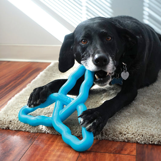 KONG Flyangle Interactive Dog Toy Durable Play - detail view
