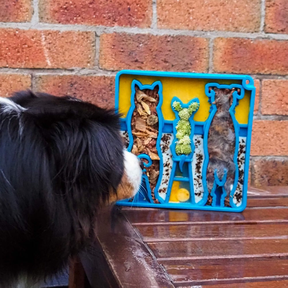 Waiting Dogs eTray - Shallow Slow Feeder Bowl for Enrichment