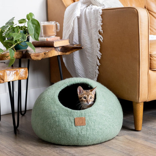 Eucalyptus Green | Round Style Cave by Fuzzy Cove - The Family Pet - Regular - BDDF_SKUcWfPkzEEFEEoKOA8