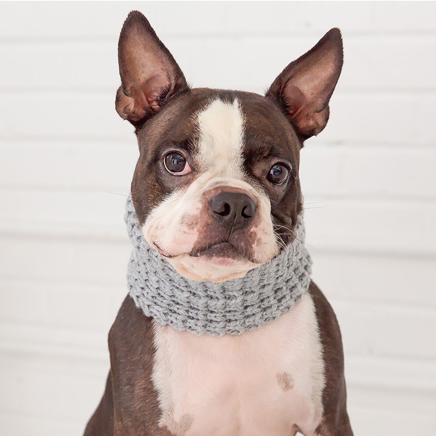 Chalet Tube Scarf - Heather Grey - GF Pet.us