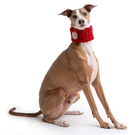 Chalet Dog Tube Scarf - Red