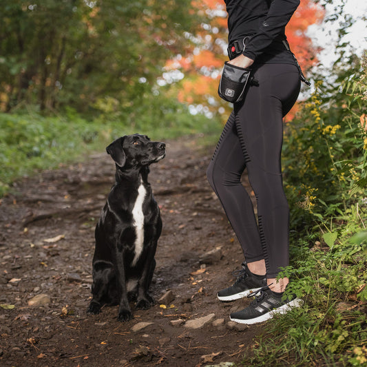 Portable Pet Treat Bag