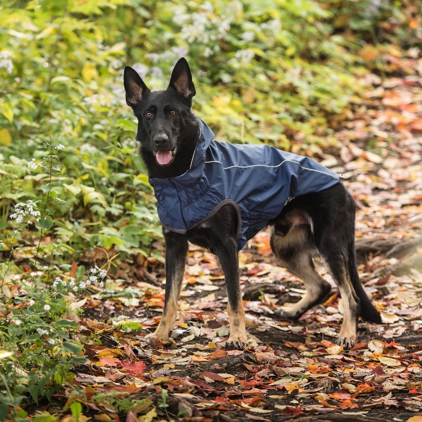 Reversible Elasto-Fit Raincoat Navy 🌧️