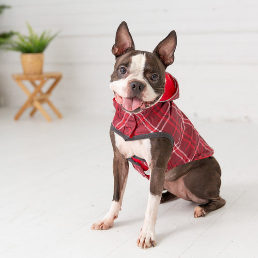 Reversible Elasto Fit Raincoat Red Dog Apparel Premium Pet - detail view