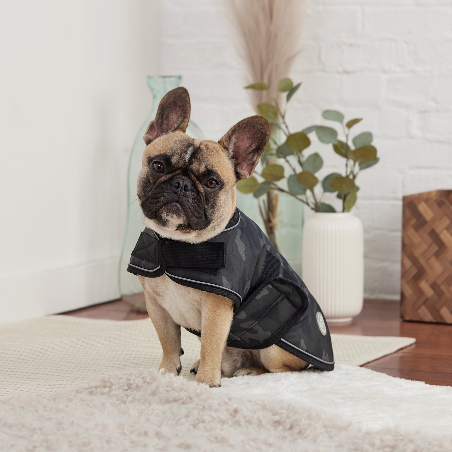 Blanket Jacket - Camo - Jacket - GF Pet.us