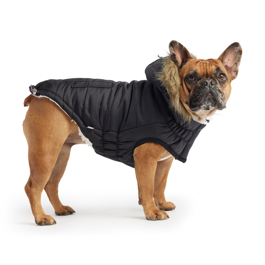 Urban Parka Dog Jacket - Black
