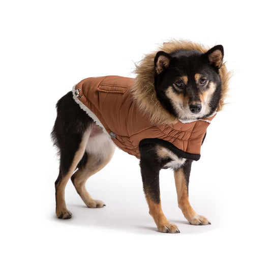 Urban Parka Caramel Dog Jackets Premium Pet Supply Premium - detail view