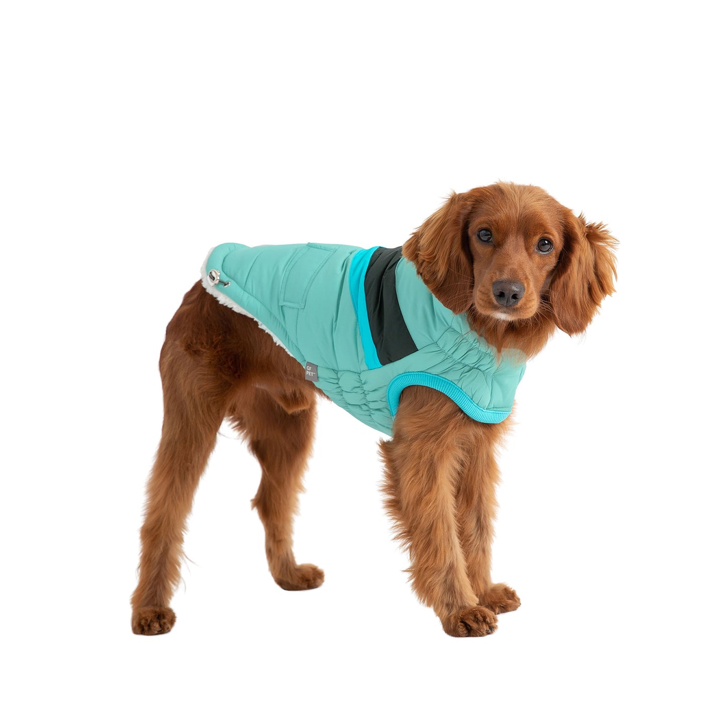 Alpine Puffer - Light Aqua - GF Pet.us