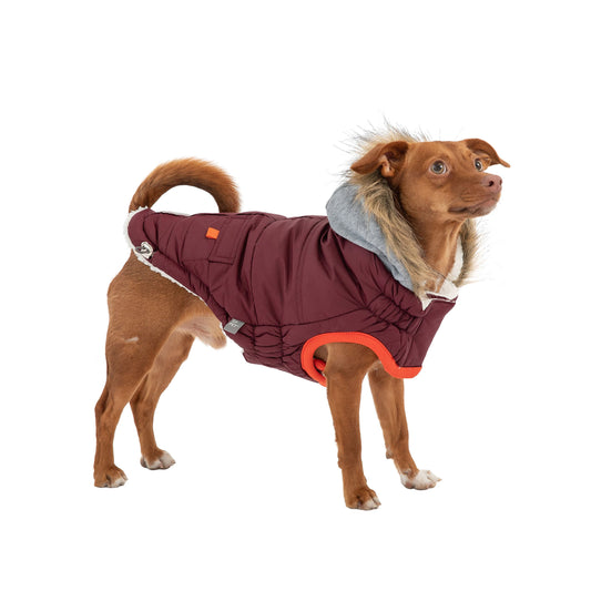 Winter Sailor Parka Burgundy Dog Jackets Premium Pet Supply