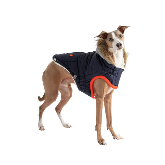 Winter Sailor Parka Navy Dog Jackets Premium Pet Supply