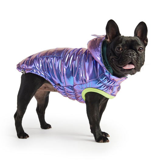 Recycled Parka Iridescent Dog Jackets Premium Pet Supply - detail view
