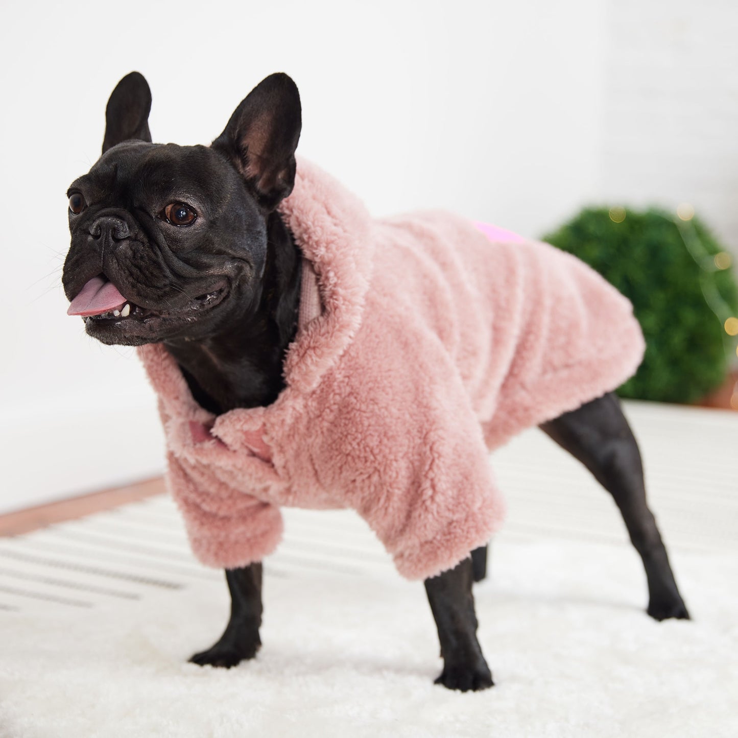 Cozy Hoodie - Pink - GF Pet.us
