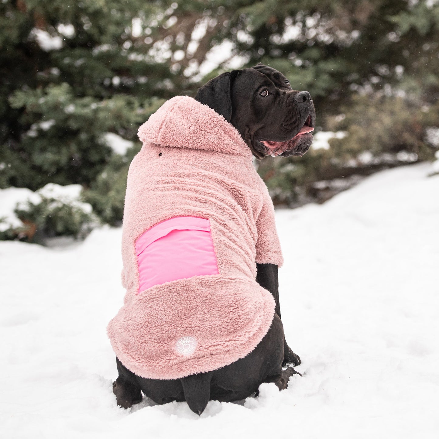 Cozy Hoodie - Pink - GF Pet.us