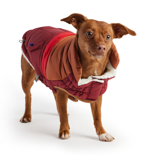 Dog Apparel Outdoor Comfort Adjustable Dark Red Everyday Wea - detail view