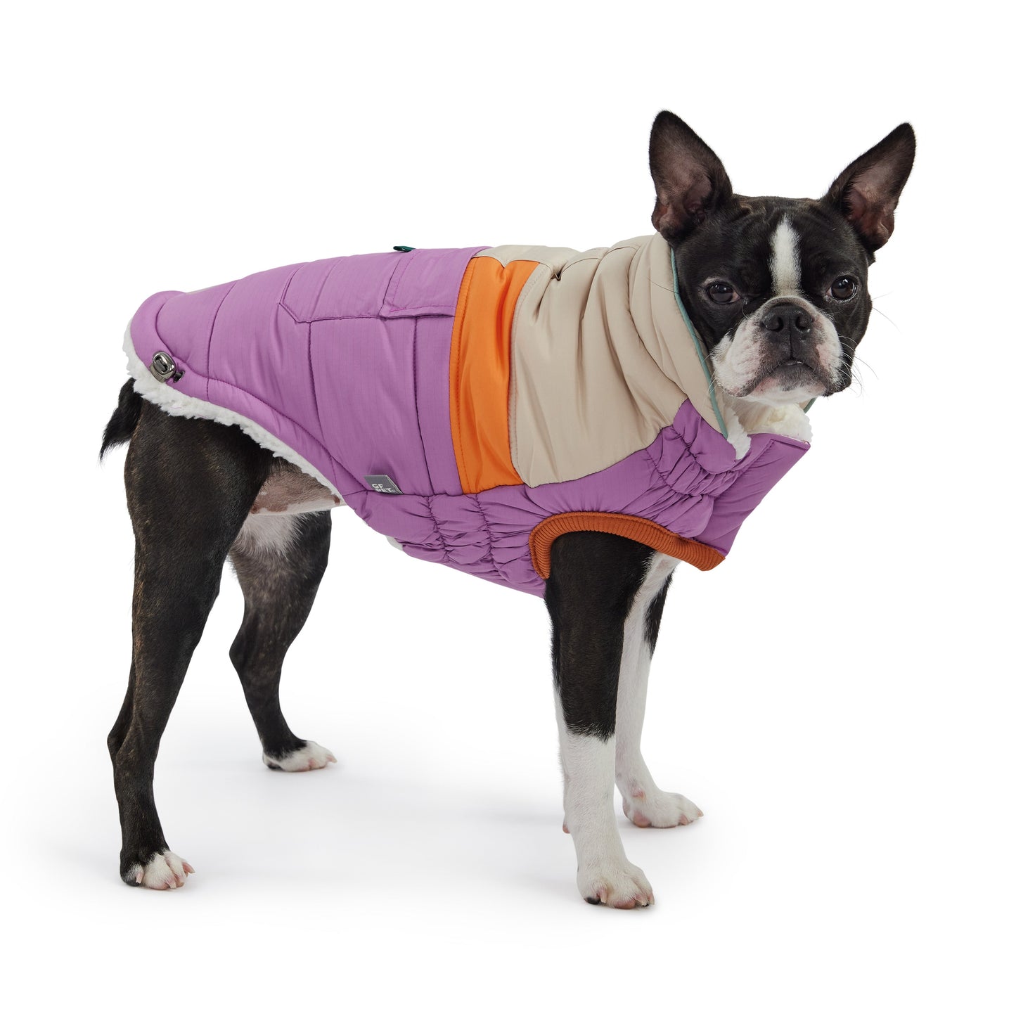 Camplife Puffer - Purple - GF Pet.us