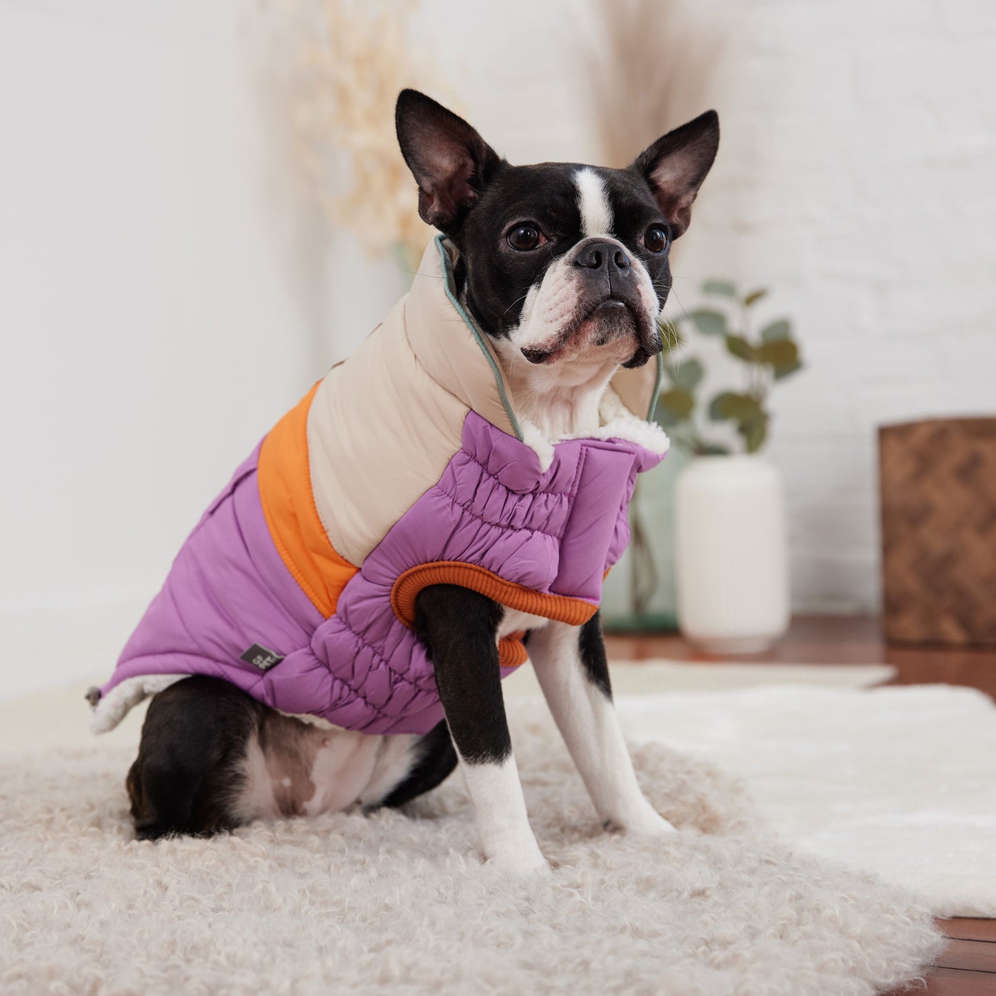 Camplife Puffer - Purple - GF Pet.us