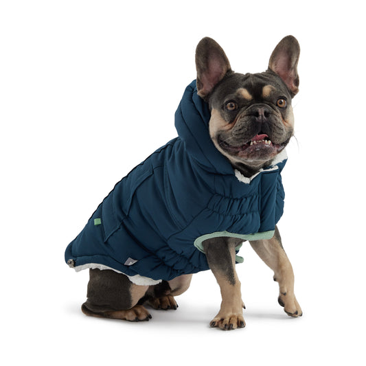 Arctic Parka - Teal - detail view | Pet Supplies at Purrfect Pet Kingdom for Dogs and Cats