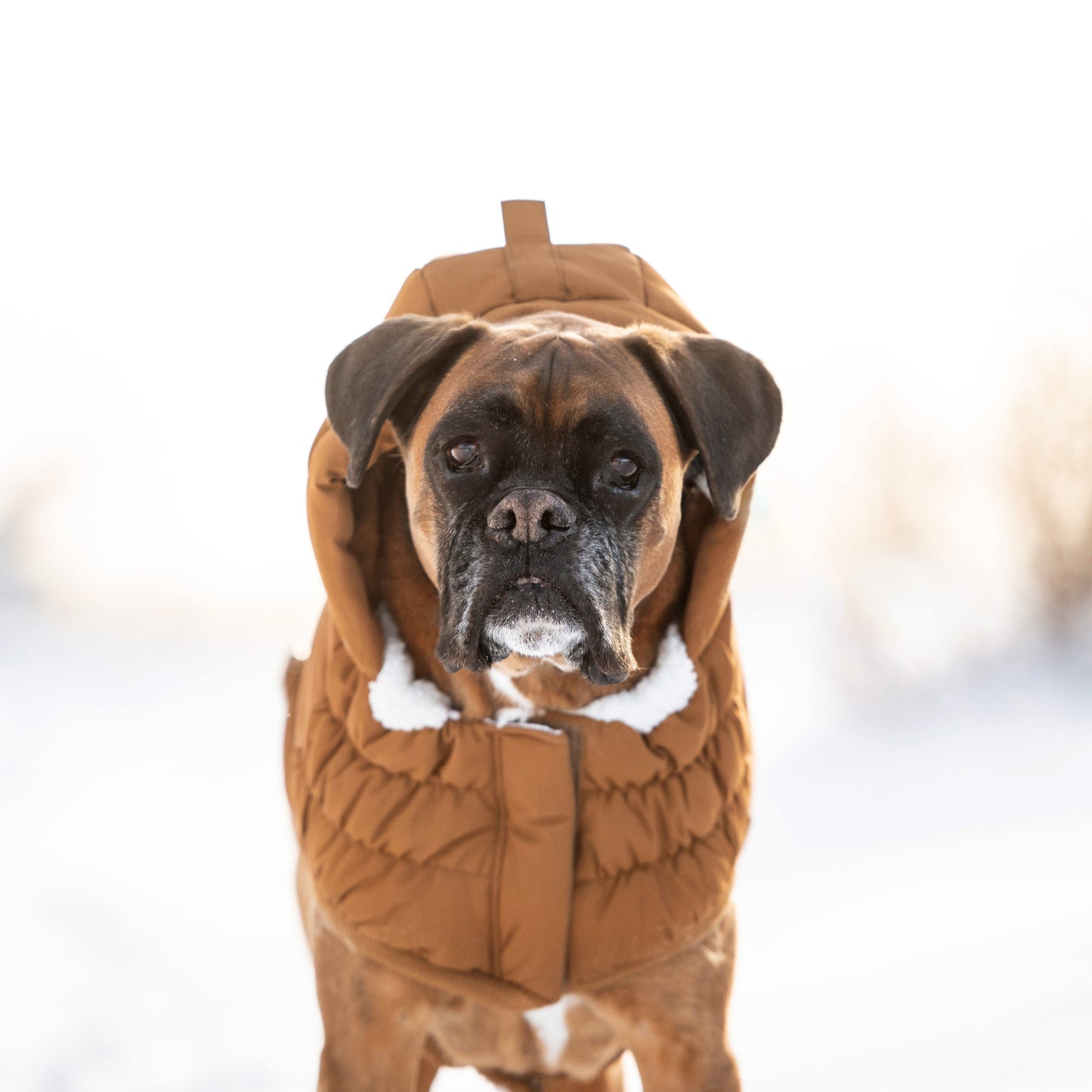 Arctic Parka - Wood 🧥