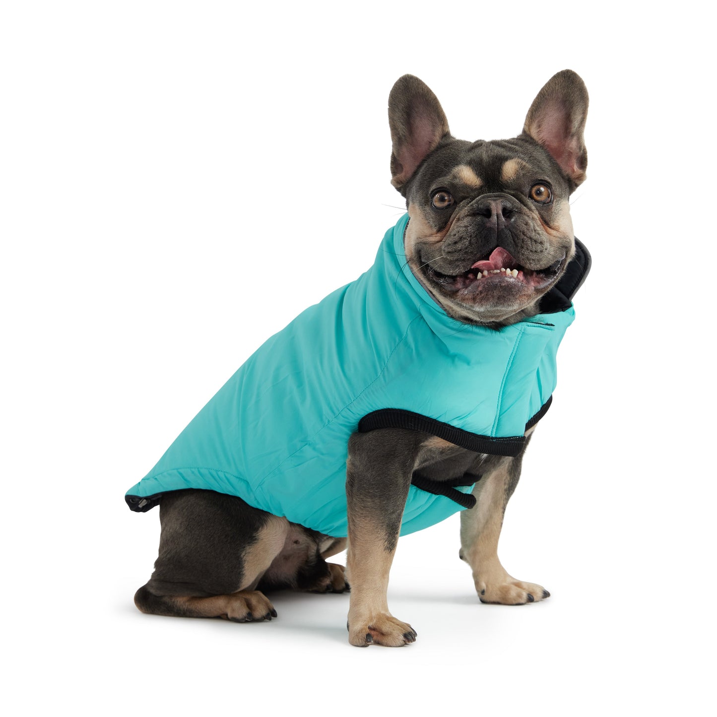 Reversible Chalet Jacket - Black/Aqua ๐