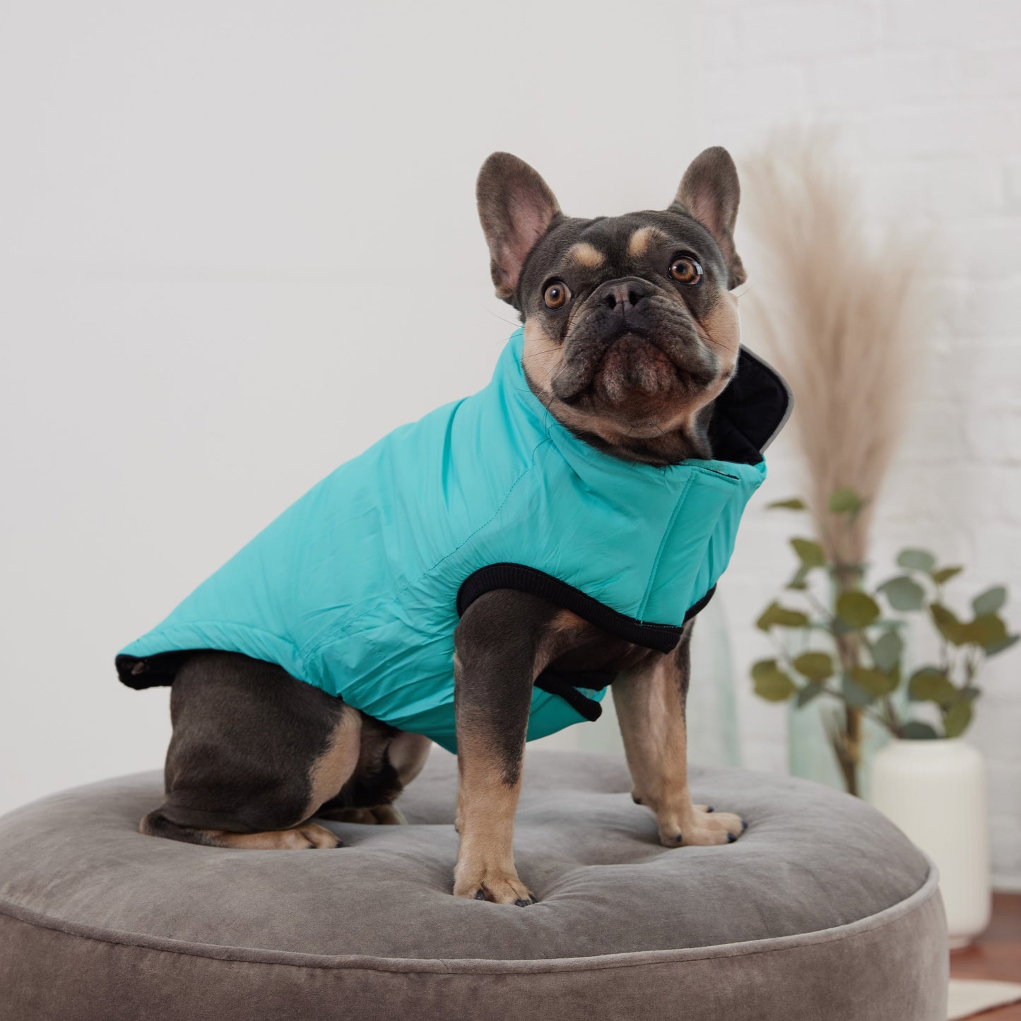 Reversible Chalet Jacket - Black/Aqua ๐