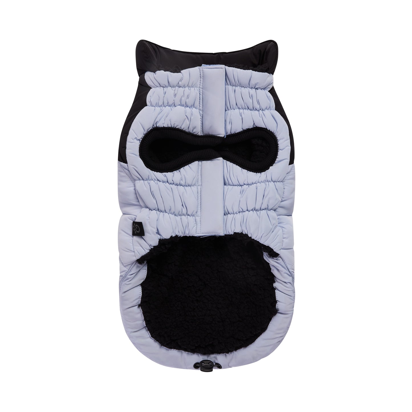 Diamond Puffer - GF Pet.us