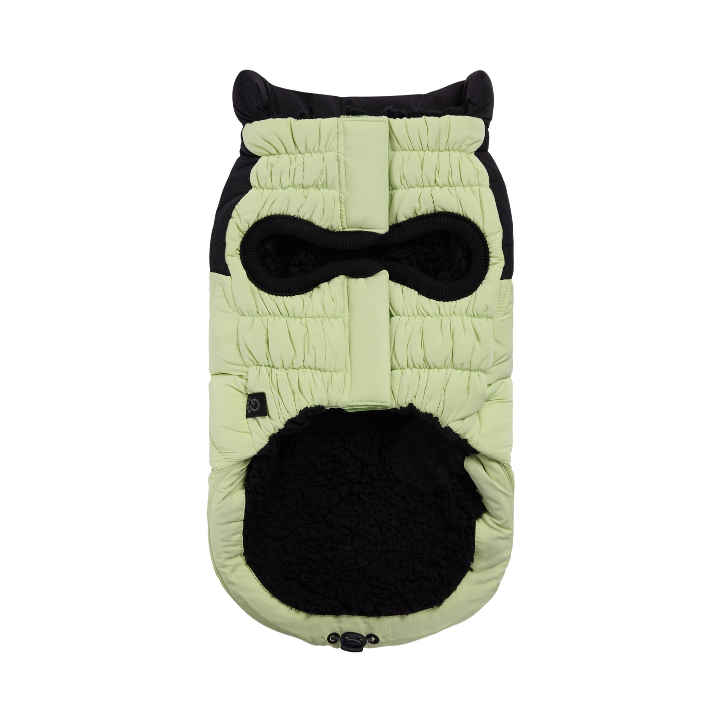 Diamond Puffer - GF Pet.us