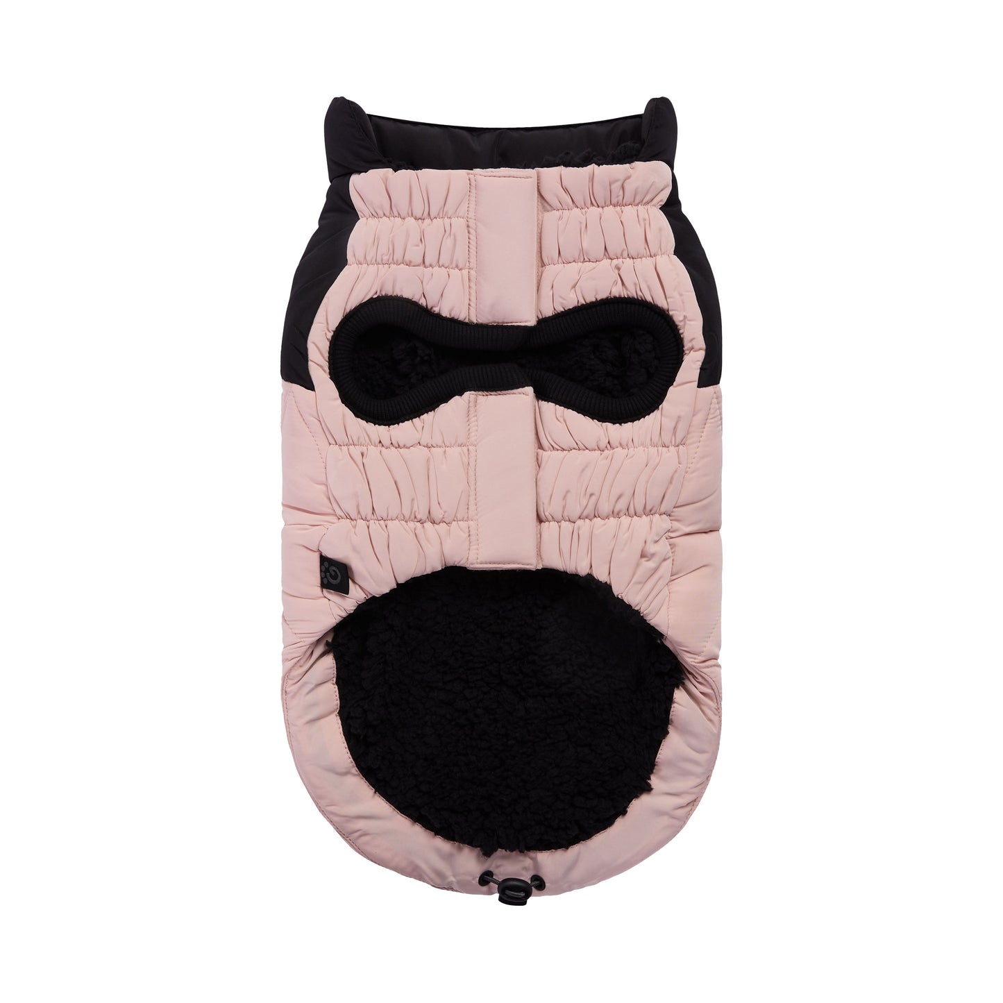 Diamond Puffer - GF Pet.us