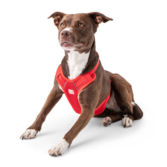 Dog Harness Travel Walking Vest Adjustable Red Comfort Premi - detail view