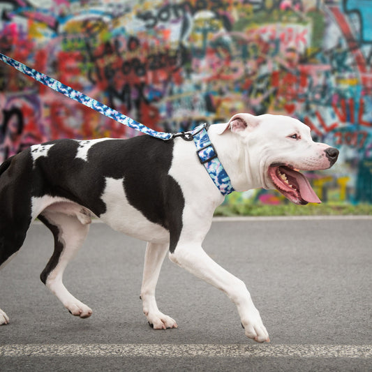 Dog Collar Adjustable Everyday Wear Adjustable Tie Dye Premi - detail view