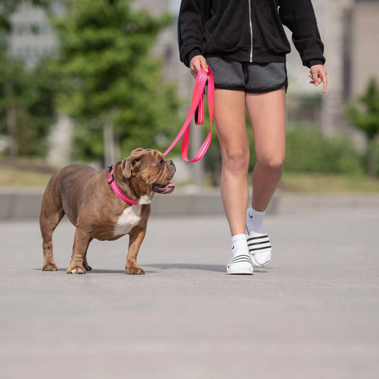 Reflective Leash Neon Pink Adjustable Dog Walking Gear - detail view
