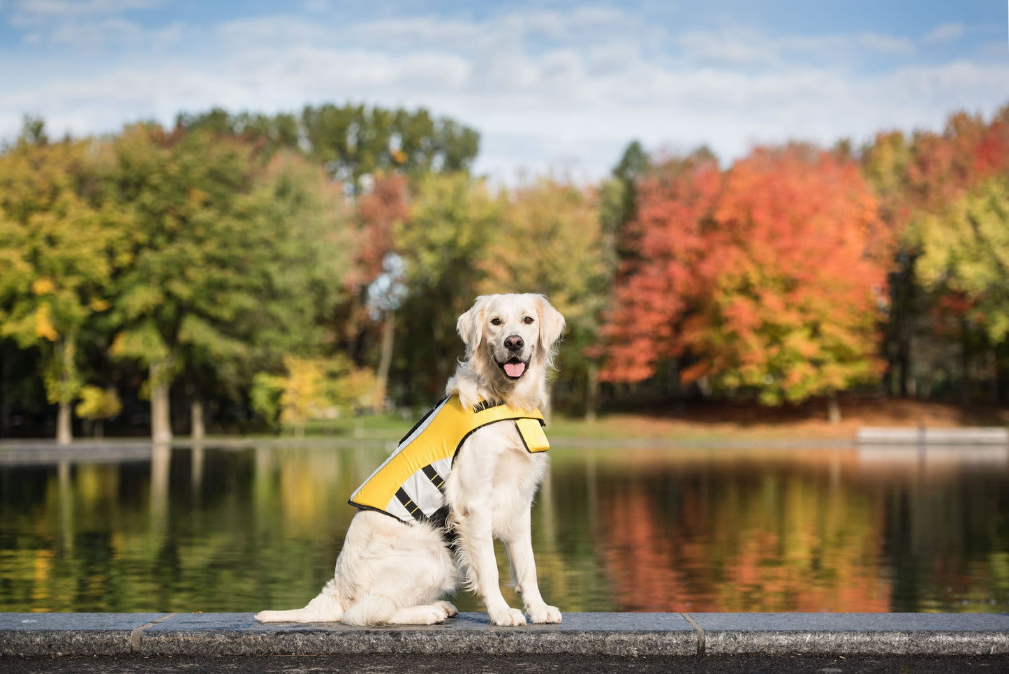 Life Vest - Dog Life Jacket - GF Pet.us