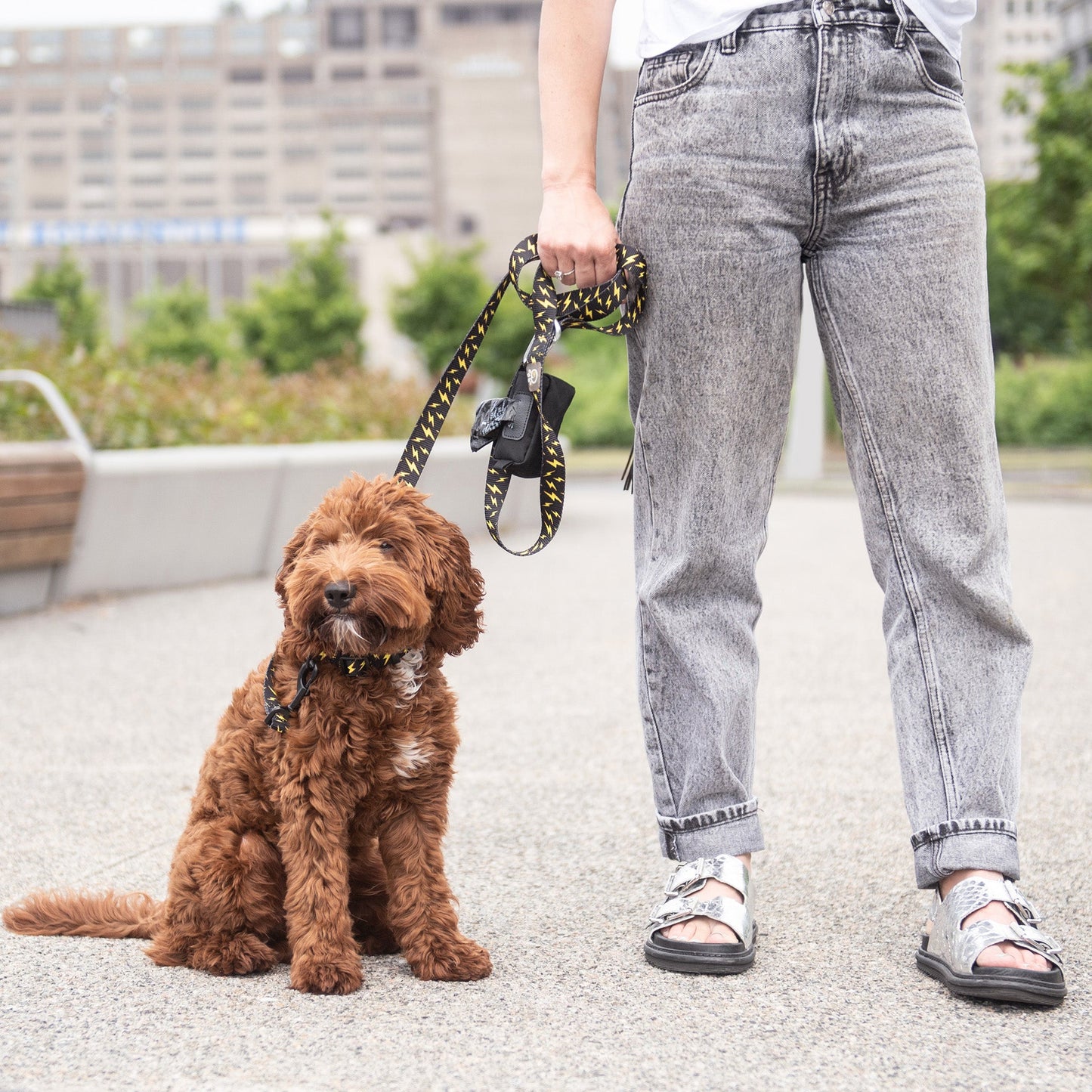 Poop Bag Dispenser - Black - GF Pet.us