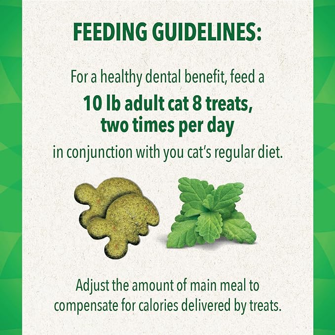 Greenies FELINE GREENIES Catnip Flavored Dental Treats - Dental Cat Treat - The Family Pet