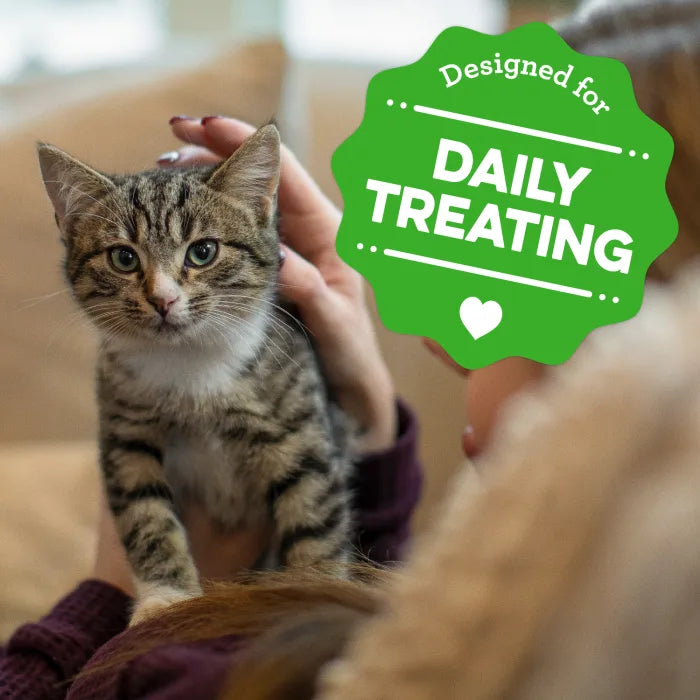 Greenies FELINE GREENIES Chicken Flavored Healthy Kitten SMARTBITES (2.1oz) - Greenies Cat Treats - The Family Pet