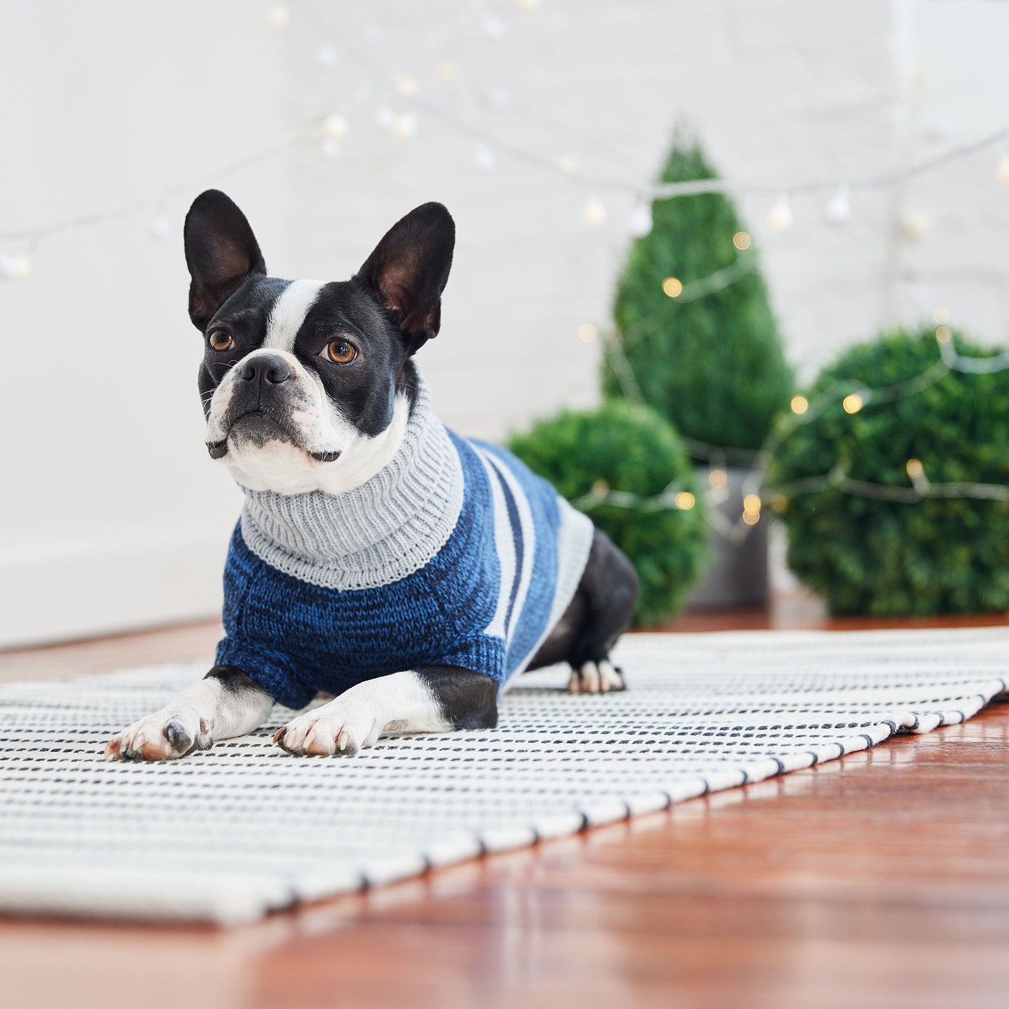 Trekking Sweater - Blue - GF Pet.us