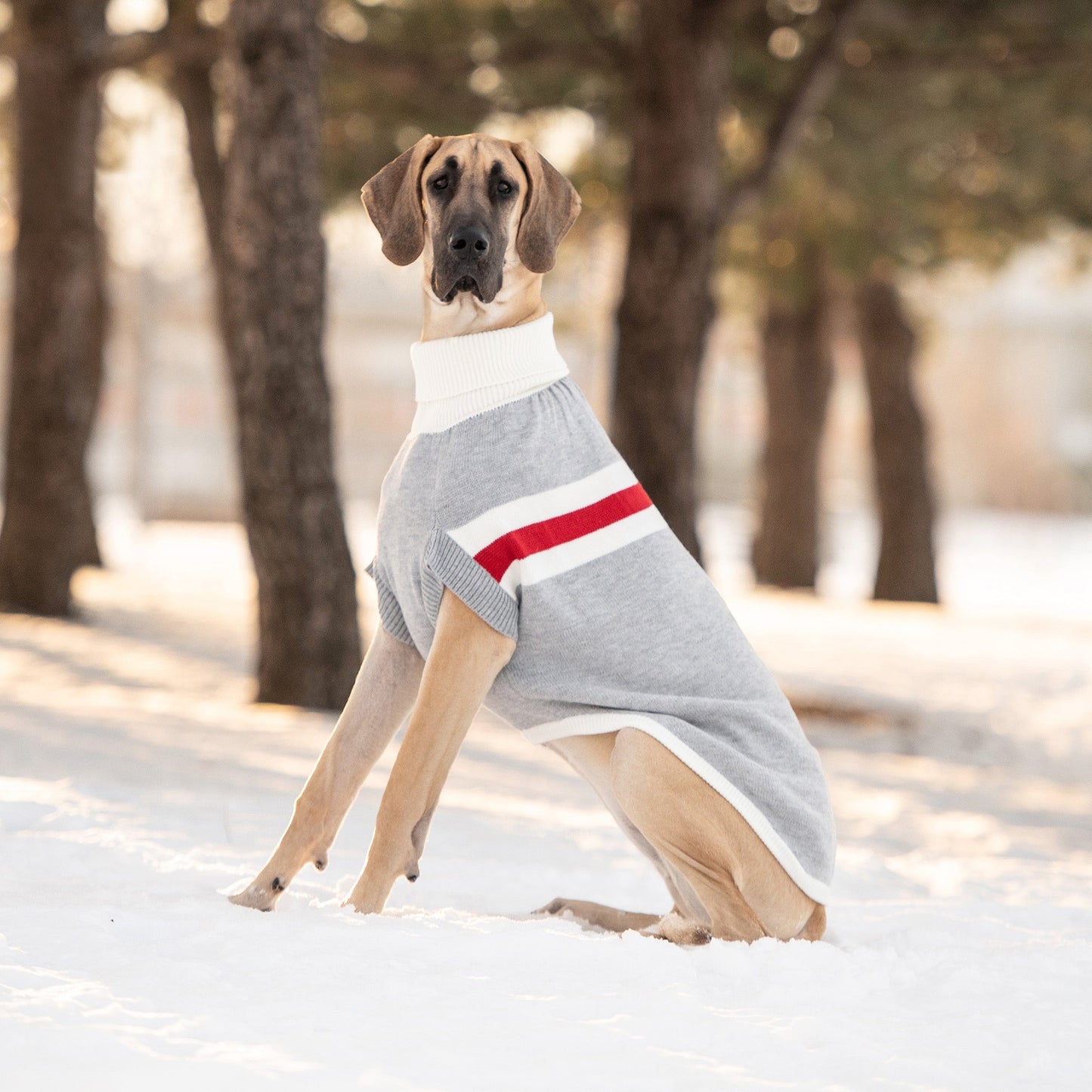 Trekking Sweater - Grey Mix - GF Pet.us