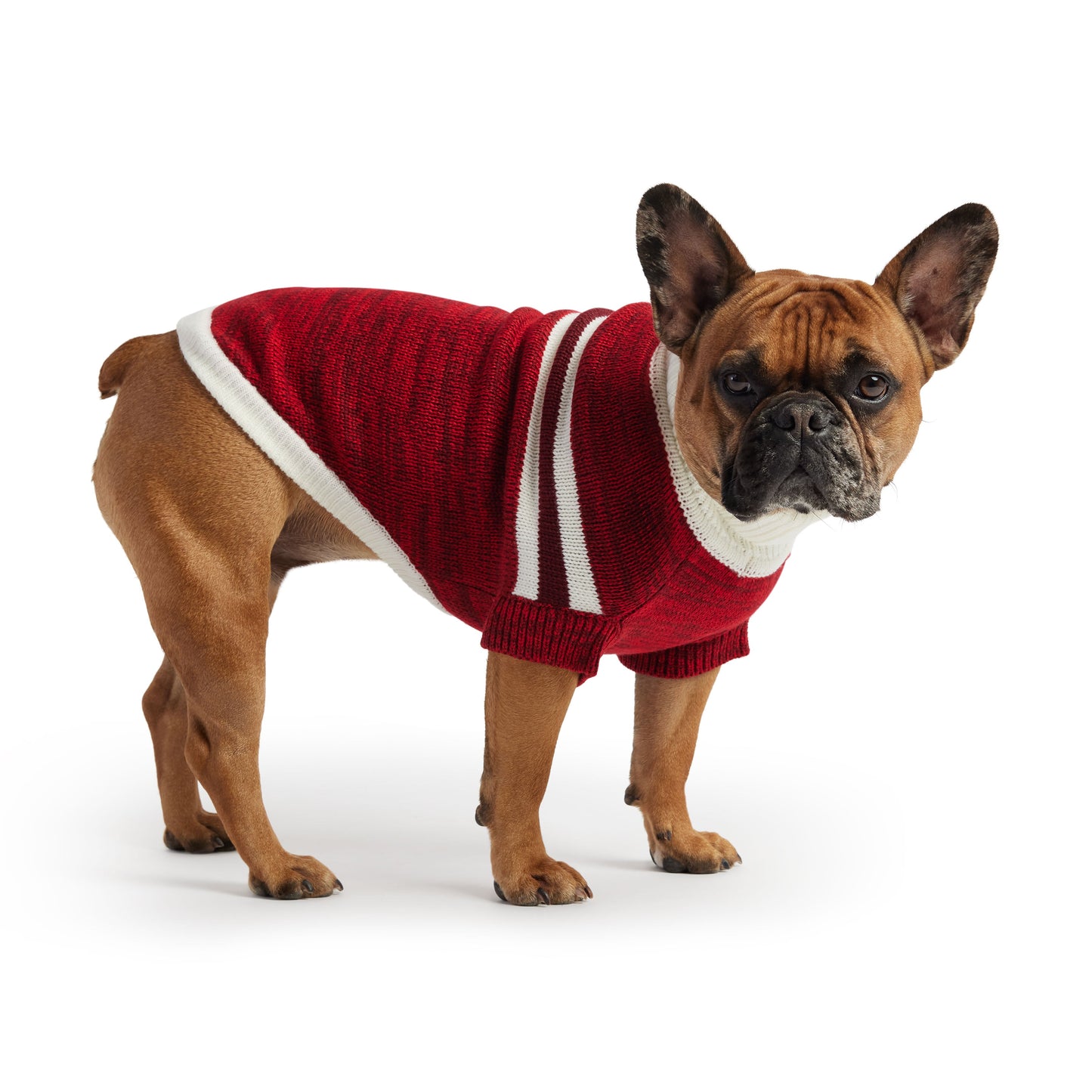 Trekking Sweater - Red - GF Pet.us