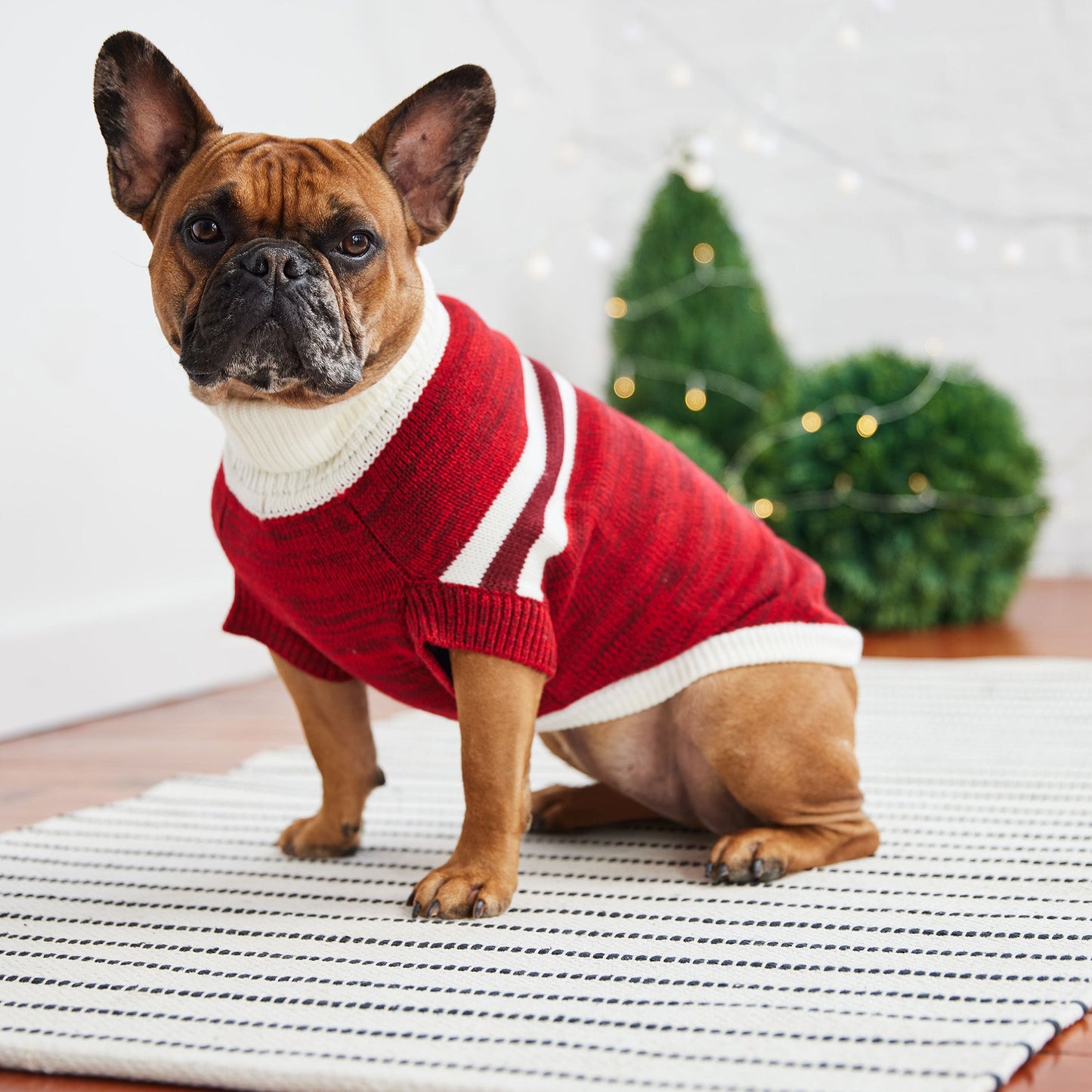 Trekking Sweater - Red - GF Pet.us