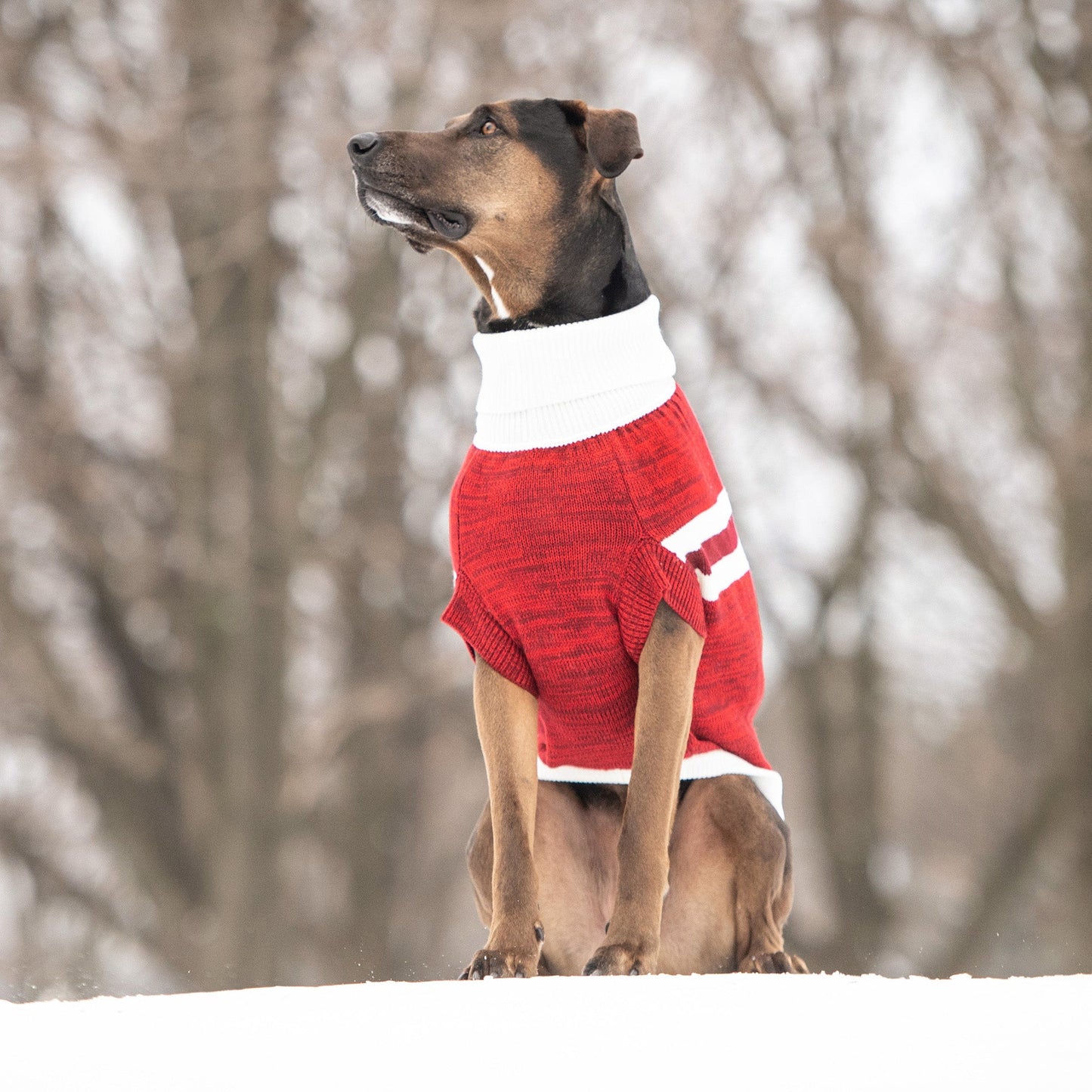 Trekking Sweater - Red - GF Pet.us