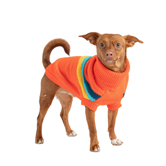 Alpine Sweater - Orange - detail view | Pet Supplies at Purrfect Pet Kingdom for Dogs and Cats