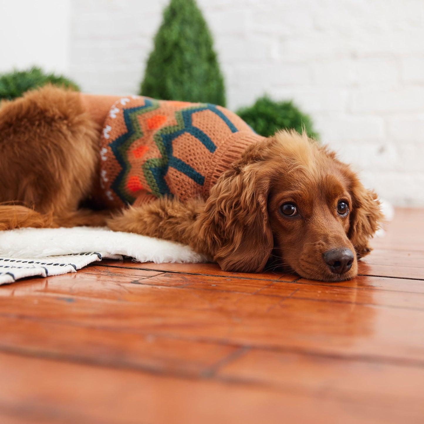 Heritage Sweater - Hazel - GF Pet.us