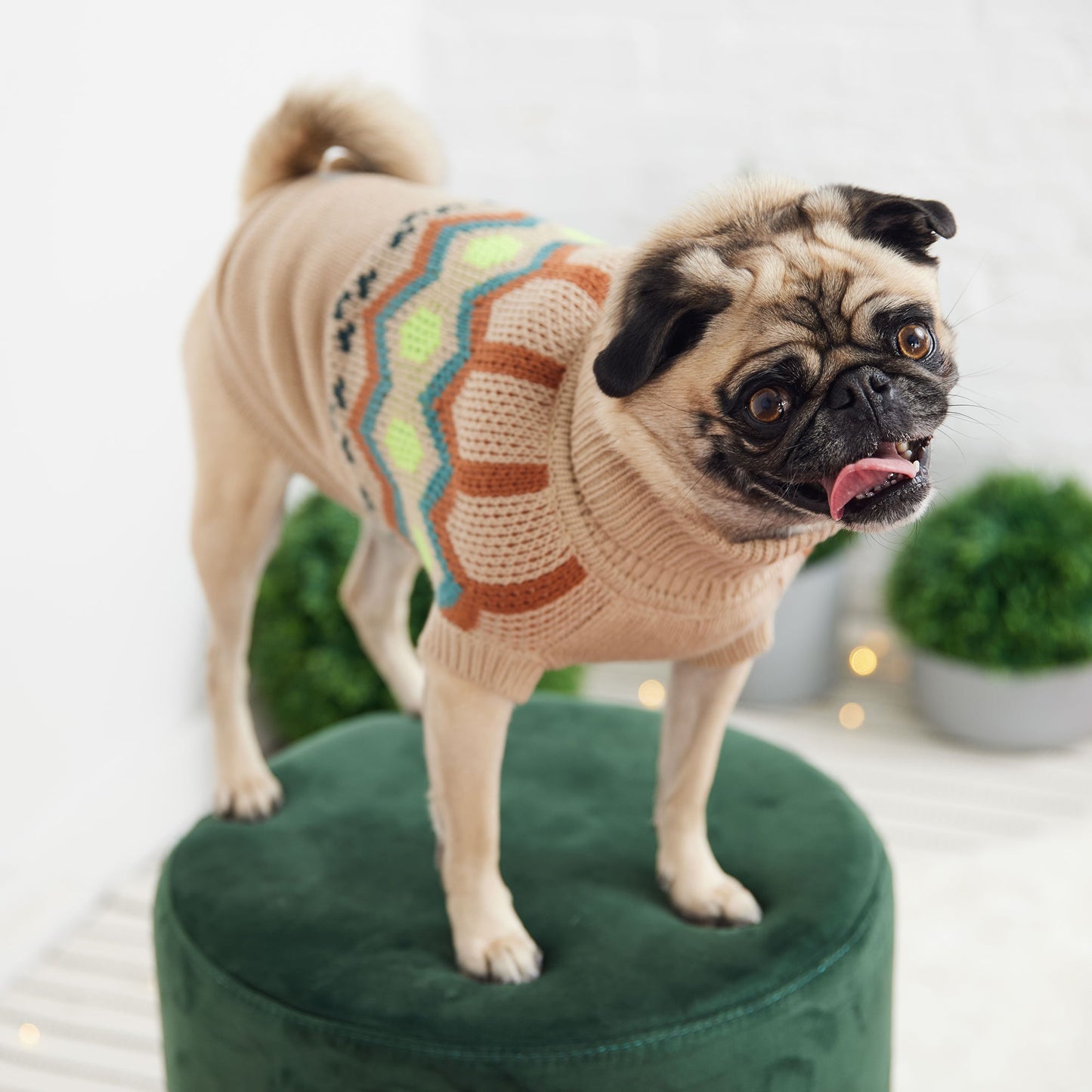 Heritage Sweater - Sand - GF Pet.us