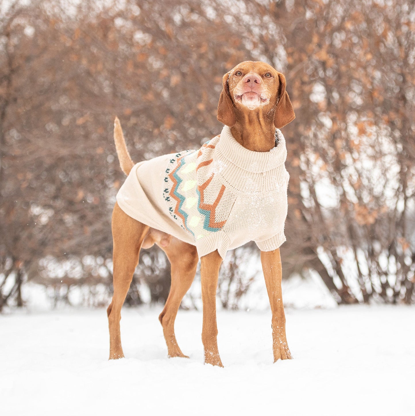 Heritage Sweater - Sand - GF Pet.us