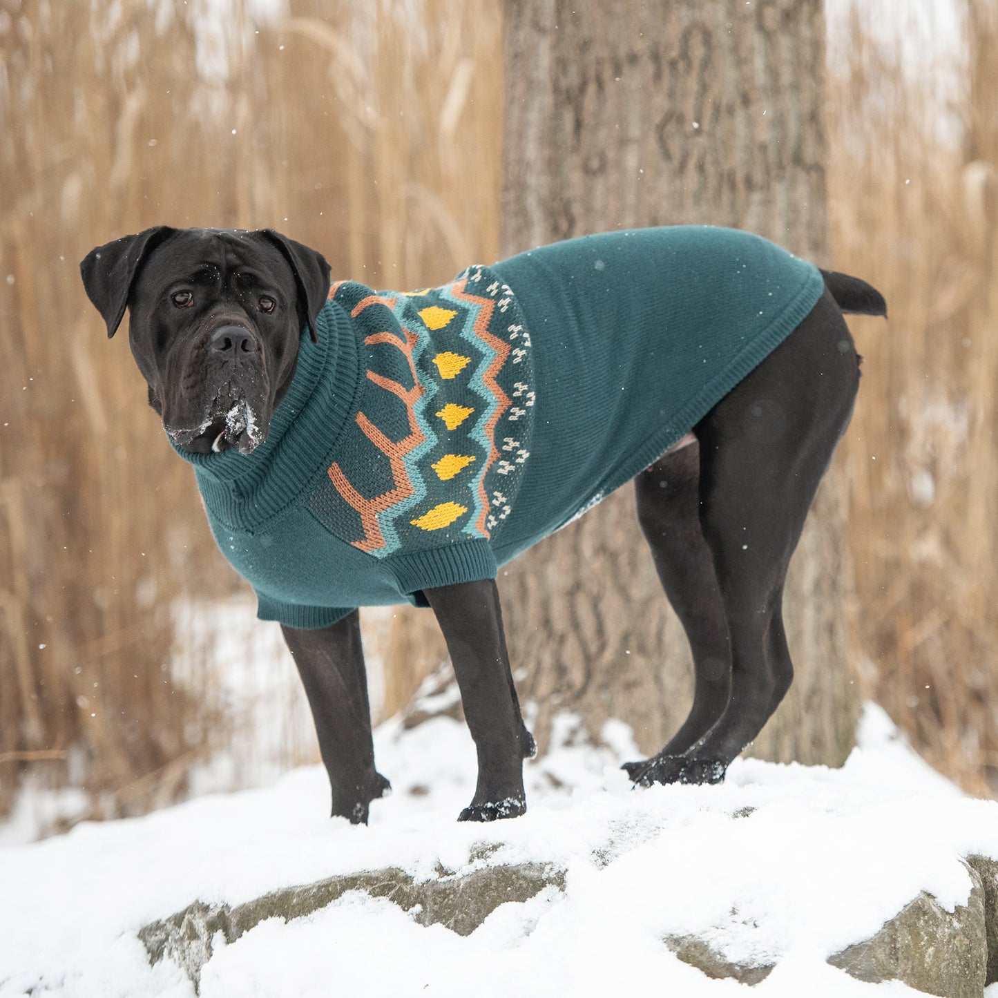 Heritage Sweater - Teal 🧶