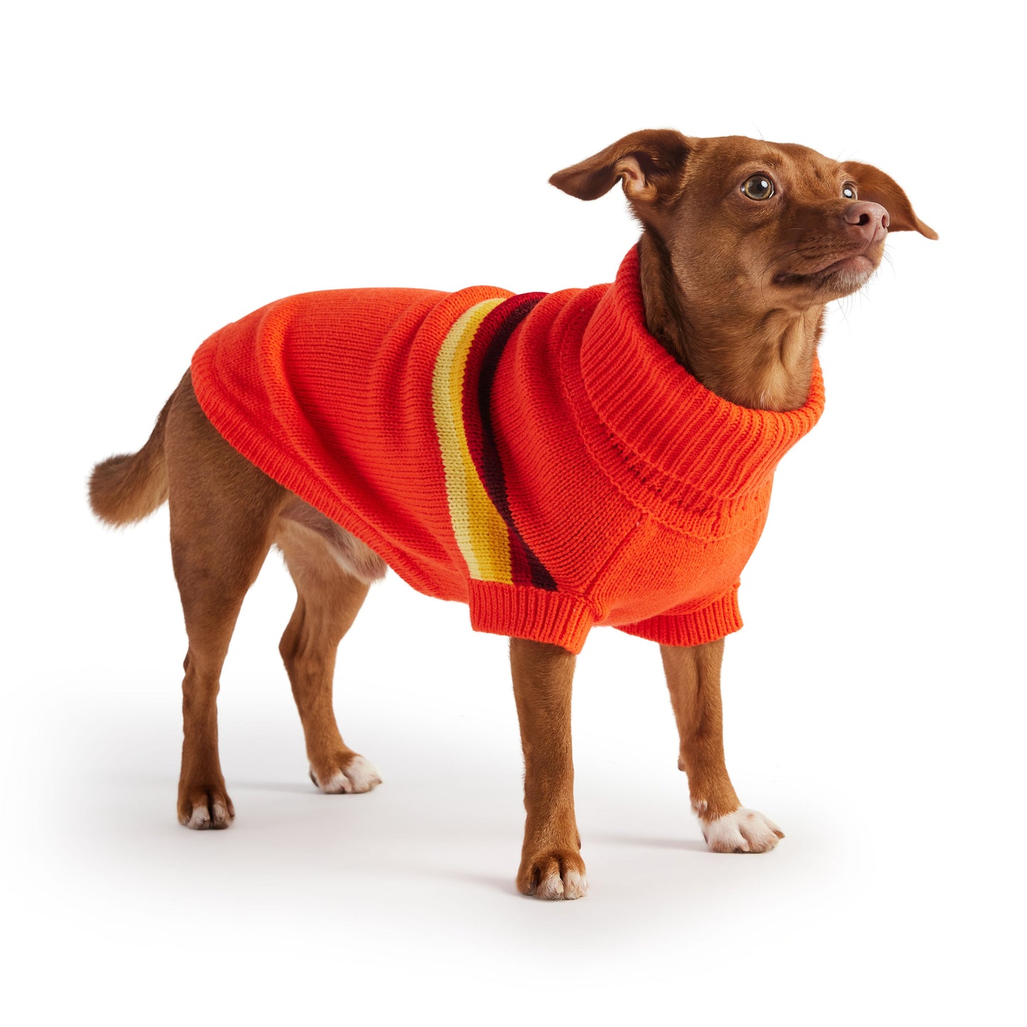 Retro Sweater - Orange - GF Pet.us