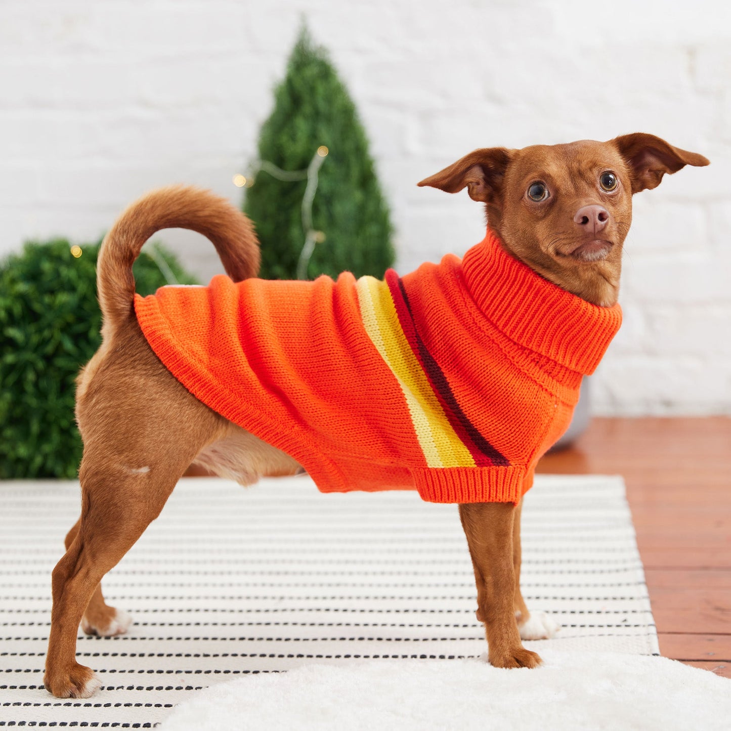 Retro Sweater - Orange - GF Pet.us